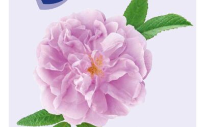 GBS CIDP Journal 4-2025